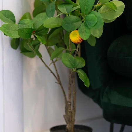 Daire In The Heart Of The Center